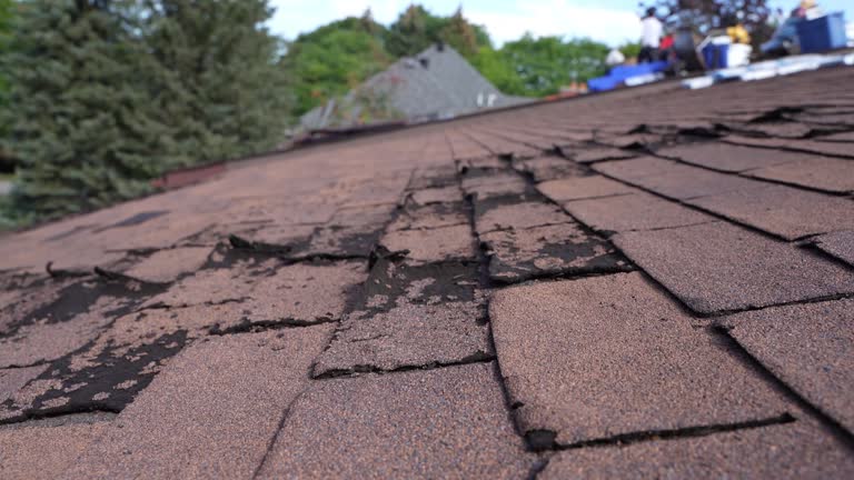 Best Gutter Installation and Repair  in Chardon, OH